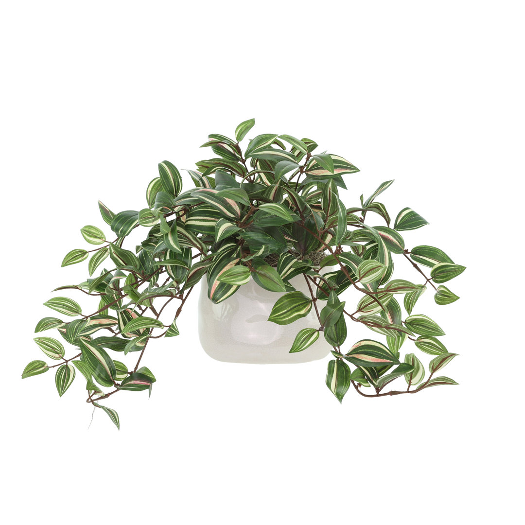 Karas Faux Tradescantia Plant in Ceramic Vase
